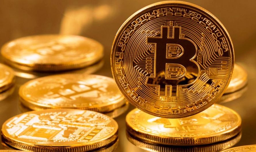 Risques et Récompenses : Naviguer dans la Volatilité du Marché des Crypto-monnaies